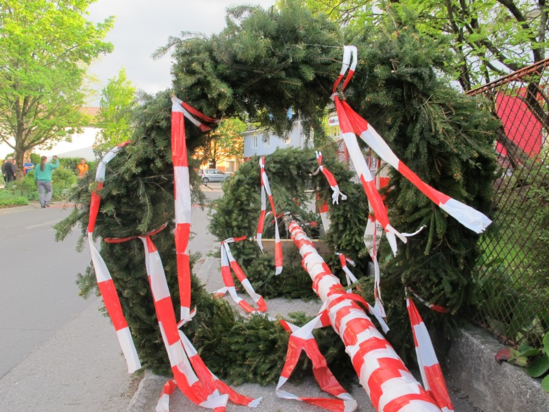 Maibaum am Ortsplatz aufgestellt.