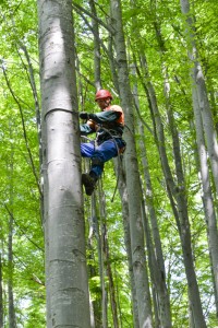 Paragleiter rettung