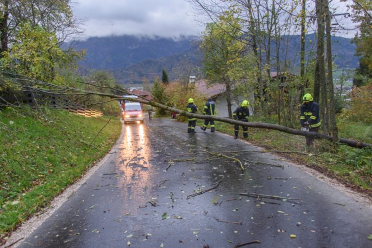 Sturmfront Grischa in Micheldorf – Viele Einsätze, 29. Okt 2017