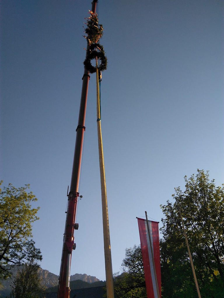 Der Ortsmaibaum steht, Mdf