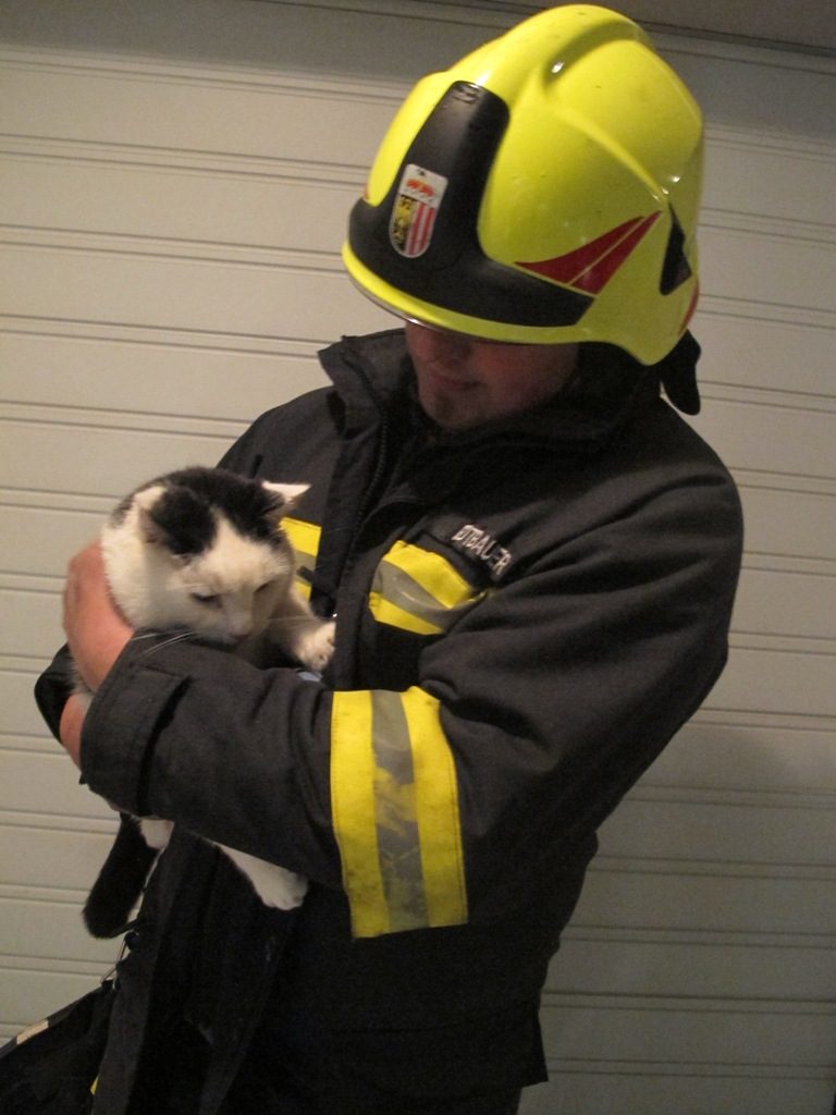 Katze in Not? – Die Feuerwehrmänner: Helden des Alltags! 27. Okt 2018 Micheldorf