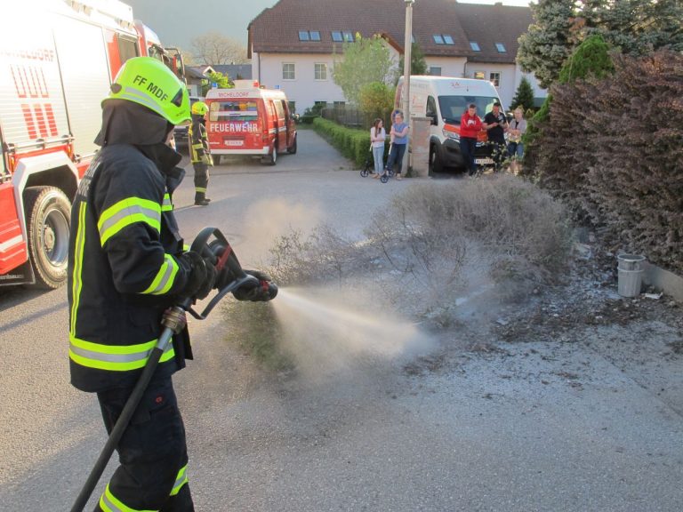 Brand einer Verkehrsberuhigungsfläche, So 22. April 2019