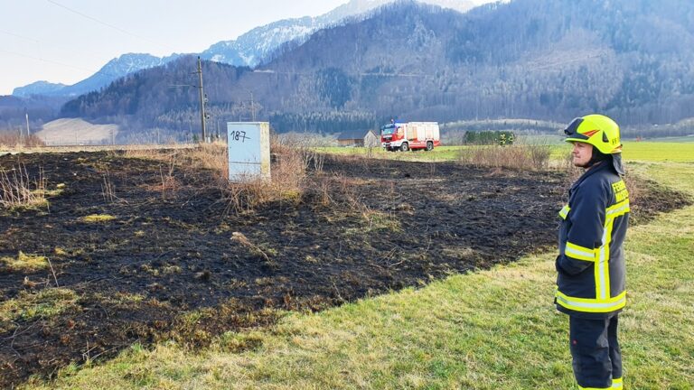 Flurbrand rasch gelöscht, 25. März 2022