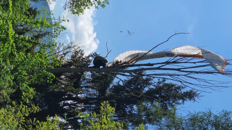Rettung eines Paragleiterpiloten aus dem Baumwipfel, 15. Mai 2022