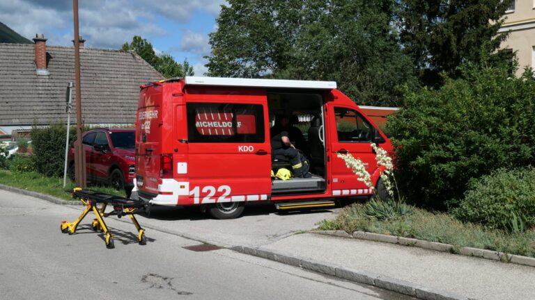 Traghilfe für das Rote Kreuz – Personenrettung mit Drehleiter, 22. Juni 2024