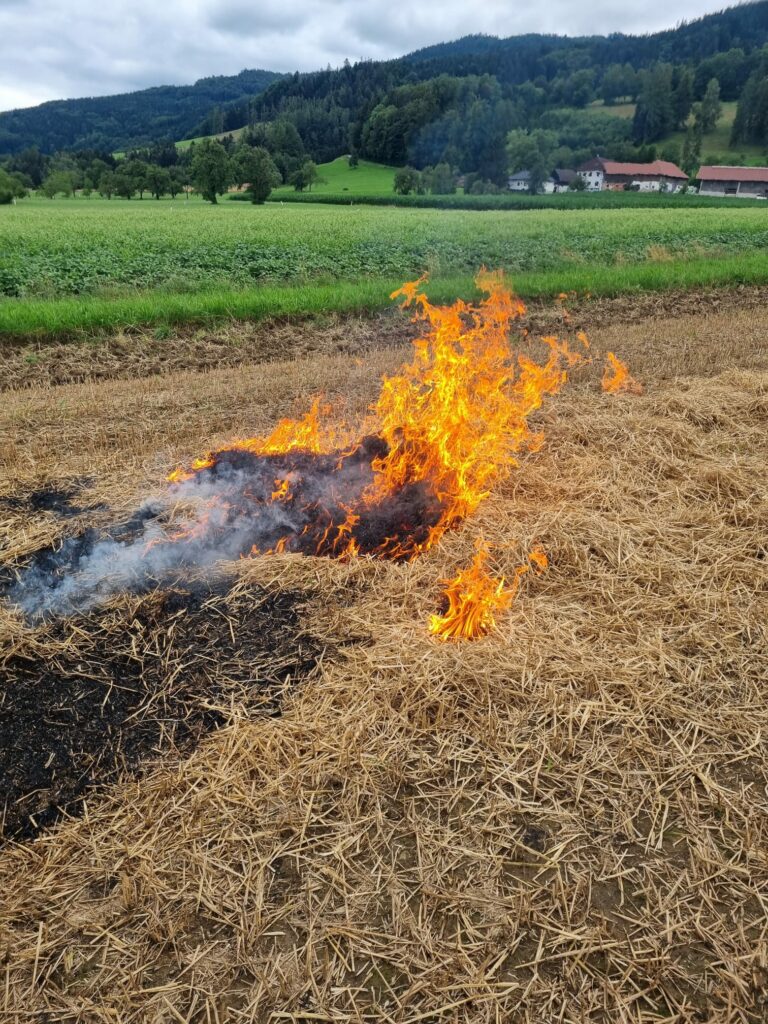 Nach dem Regen folgt Sonne! Und Waldbrandgefahr! Spezialschulung des Bezirks Kichdorf zur Vegetationsbrandbekämpfung, 13. Juli 2024