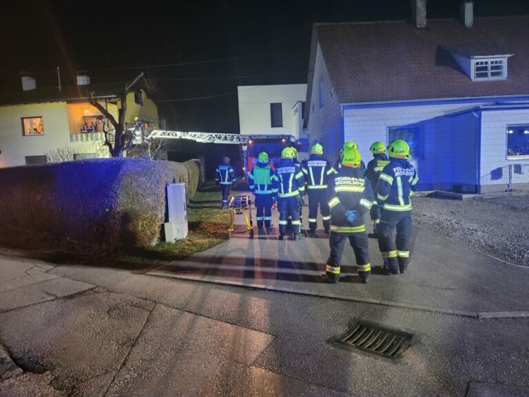 Tragehilfe mit Drehleiterunterstützung am 11. März 2025