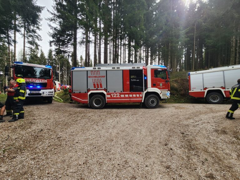 Brand Wald und Baum über Straße am 17. April 2025