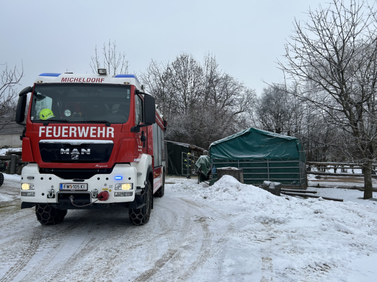 Großtierrettung am 22. Jänner 2026