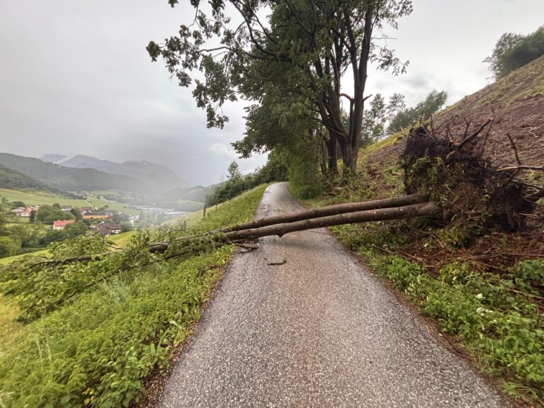 Einsatzreicher Samstag Abend am 30. Mai 2026